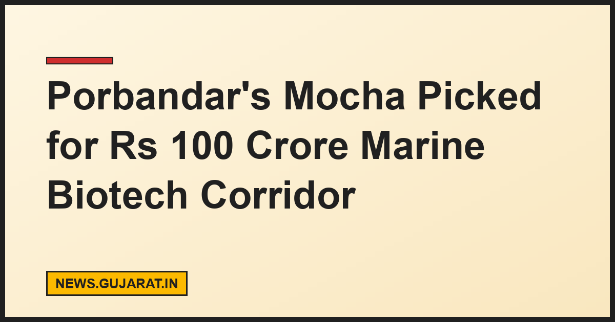 Porbandar's Mocha Picked for Rs 100 Crore Marine Biotech Corridor